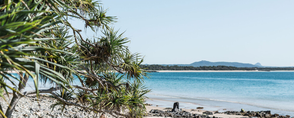 Sunny beach view