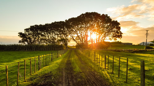 Farmland at Sunset