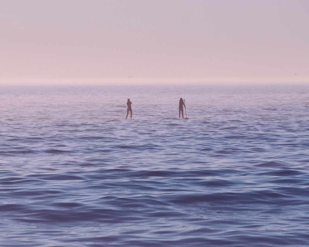 Paddleboarders