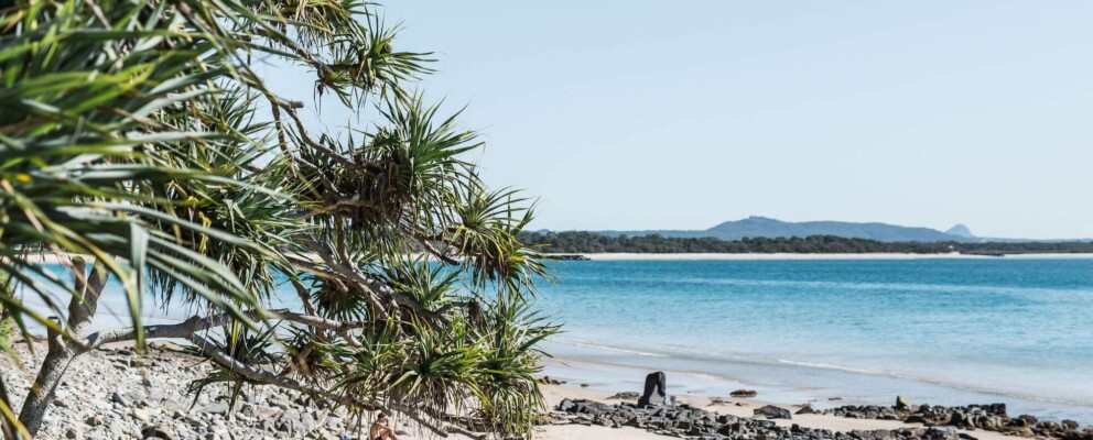 little cove beach