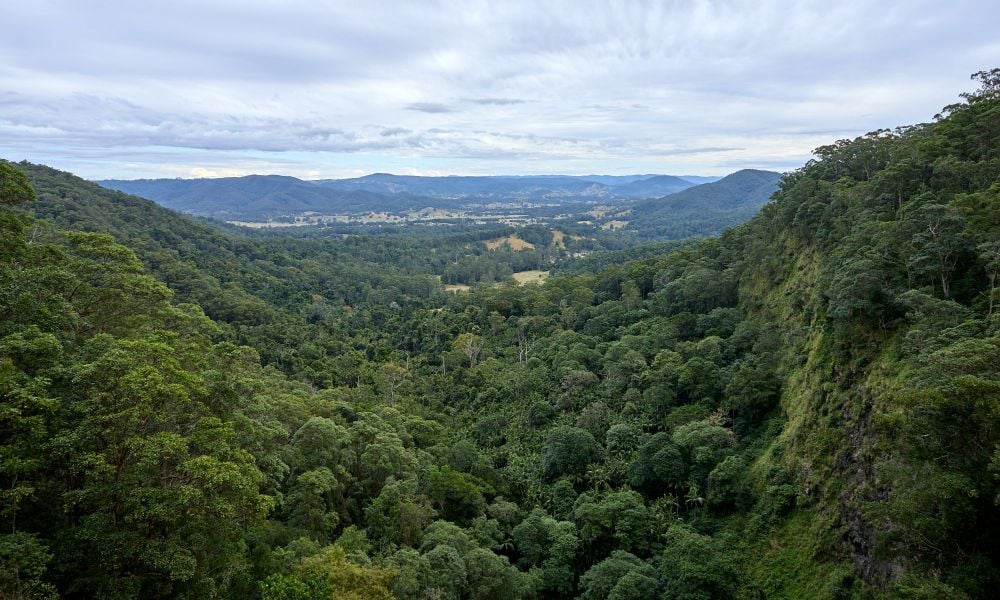 noosa hinterand aerial