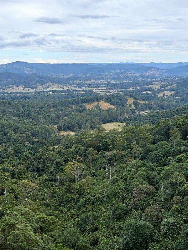 noosa hinterland