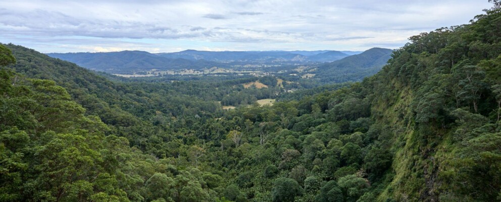 noosa hinterland