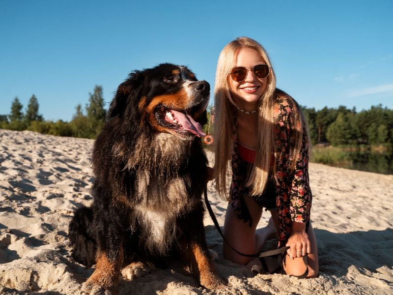Dog friendly beaches Noosa: woman with large black dog on sandy beach under a clear blue sky.